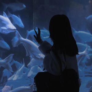 美女光着下体扒开内裤
