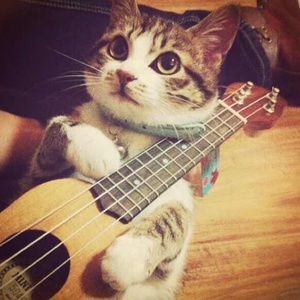 美女光着下体扒开内裤
